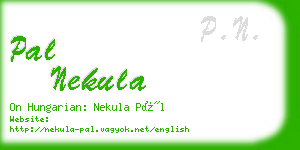 pal nekula business card